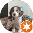 Stefani Shi profile picture